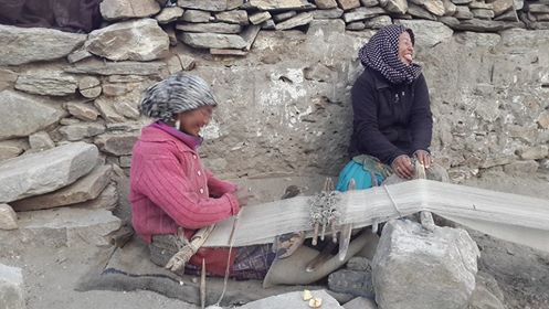 weaving in ladakh